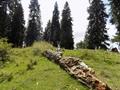 Mushkpuri Hiking Track, Nathiagali, KPK