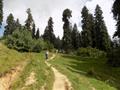 Mushkpuri Hiking Track, Nathiagali, KPK