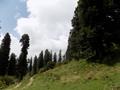 Mushkpuri Hiking Track, Nathiagali, KPK