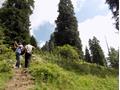 Mushkpuri Hiking Track, Nathiagali, KPK