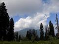 A View of Miranjani Peak from Mushkpuri Hiking Track, Nathiagali