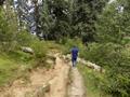 Mushkpuri Hiking Track, Nathiagali, KPK