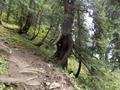 Mushkpuri Hiking Track, Nathiagali, KPK