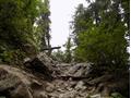 Mushkpuri Hiking Track, Nathiagali, KPK