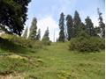 Mushkpuri Hiking Track, Nathiagali, KPK