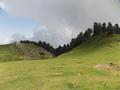 Mushkpuri, Nathiagali, KPK