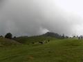 Mushkpuri, Nathiagali, KPK
