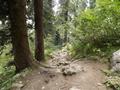 Mushkpuri Hiking Track, Nathiagali, KPK