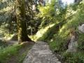 Mushkpuri Hiking Track, Nathiagali, KPK 