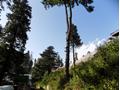Nathiagali, KPK 