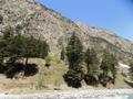 Ushu Valley, Kalam, Swat, KPK