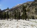 Ushu Valley, Kalam, Swat, KPK