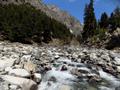 Ushu Valley, Kalam, Swat, KPK