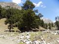 Ushu Valley, Kalam, Swat, KPK