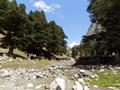 Ushu Valley, Kalam, Swat, KPK