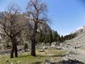 Ushu Valley, Kalam, Swat, KPK