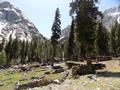 Ushu Valley, Kalam, Swat, KPK