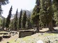Ushu Valley, Kalam, Swat, KPK
