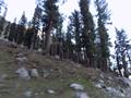 Mataltan, Ushu Valley, Kalam, Swat, KPK