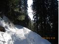 Mushkpuri track, Nathia Gali, KPK