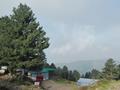Thandiani - The  mini Shogran