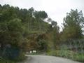 Abbottabad Gilliyat Road, Abbottabad