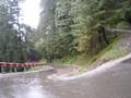 Nathia Gali in Rain, Rest of Khyber Pakhtunkhwa