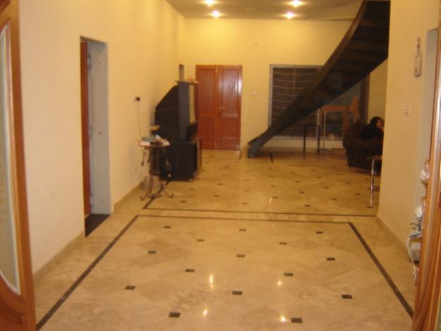 Photo - Faisalabad - Paradise Valley - Development Pix - FEB 2011 - 03 ...