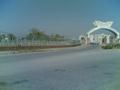 taxila university