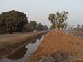 Chak Walidad Distributry in Khanewal District
