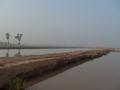 Fish Pond, Haveli Koranga Khanewal