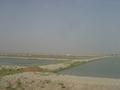 Fish Farm Near Adda 25 Pul, Jhang