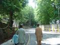 Murree Cantt, Murree