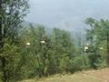 Chair Lift, Pindi Point, Murree