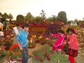Flower Exibition @ Sher Shah Park Wah Cantt