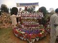 Flower Exhibition @ Sher Shah Park Wah Cantt