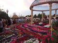 Flower Exhibition @ Sher Shah Park Wah Cantt