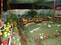 Flower Exhibition in Wah on 21-04-2013