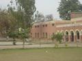 Govt. Model High School, Vehari