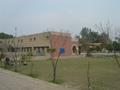 Govt. Model High School, Vehari