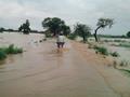 Flood in Zafarwal