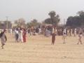 Camel fight, Khanewal