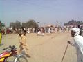 Camel fight, Khanewal