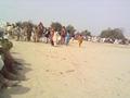 Khanewal, Camel Fight Festival 