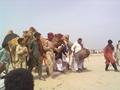 Khanewal, Camel Fight Festival 