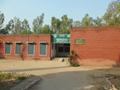 Govt. High School Chak 689/31 GB, Terkhana Road, Shorkot