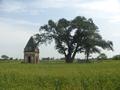 Wazirabad - Hindu Cremation Ground & Temple - Panoramio (1)