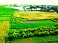 Beautiful view Zafarwal, Punjab