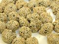 Sesame Seed