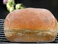 Whole Wheat Bread